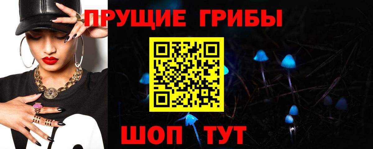 Галлюциногенные грибы Psilocybe  Вход с VPN  Назарово 